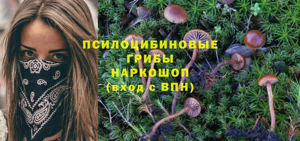 тгк Абинск