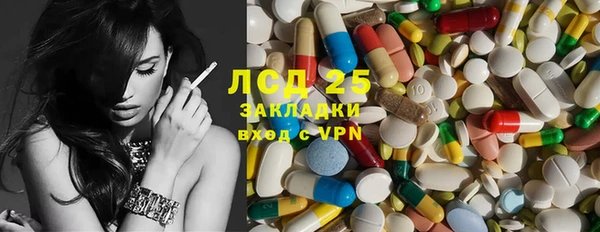 шишки Алексин