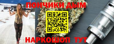 индика Новодвинск