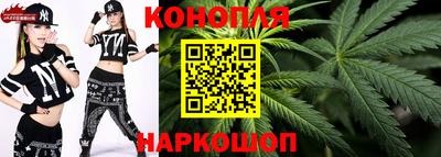 индика Новодвинск