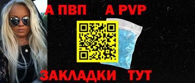 индика Новодвинск