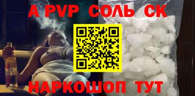 индика Новодвинск