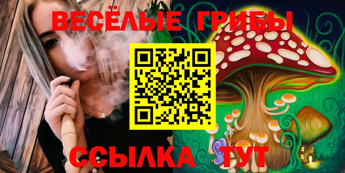 Ступино  Галлюциногенные грибы Magic Shrooms  Псилоцибиновые грибы Psilocybine cubensis  Вход с VPN 