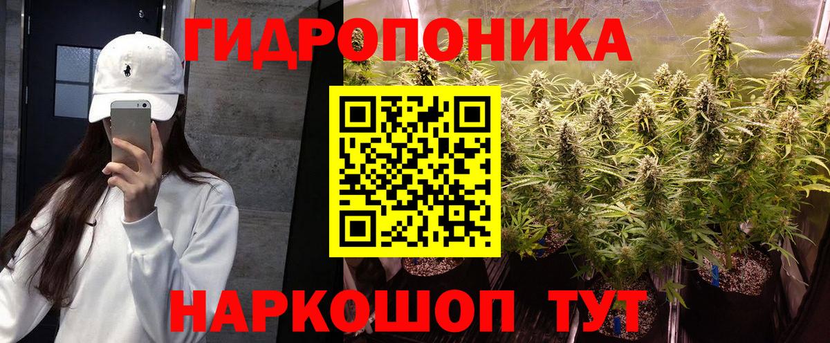 Марихуана сатива Ступино